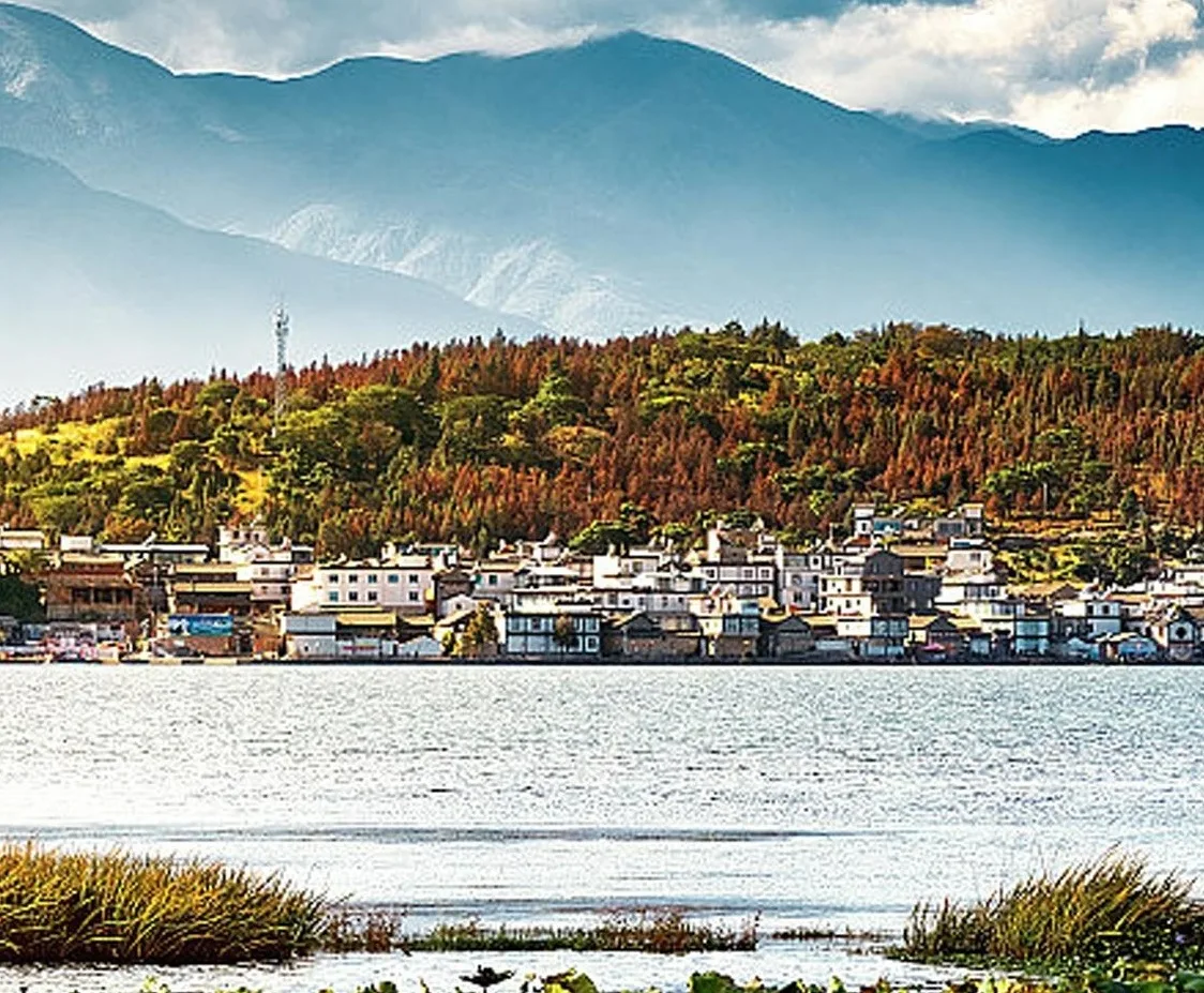 大理洱海金梭島遊船實景